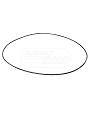 Pierścień oring 304,39x3,53