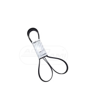 Pas wielorowkowy 8PK2515