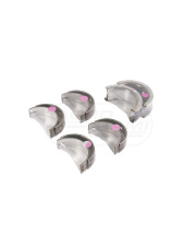 Komplet panewek głowicy 25/2-24B N0,51MM