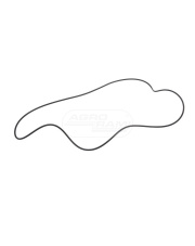 O-ring