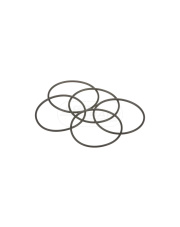 O-ring