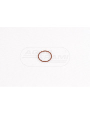 O-ring
