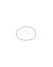 Oring 20/6407-95 , 48/6407-180