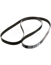 Pasek wielorowkowy 10PK2562