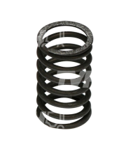 SPRĘŻYNA ZAWORU MASSEY FERGUSON 731154M1